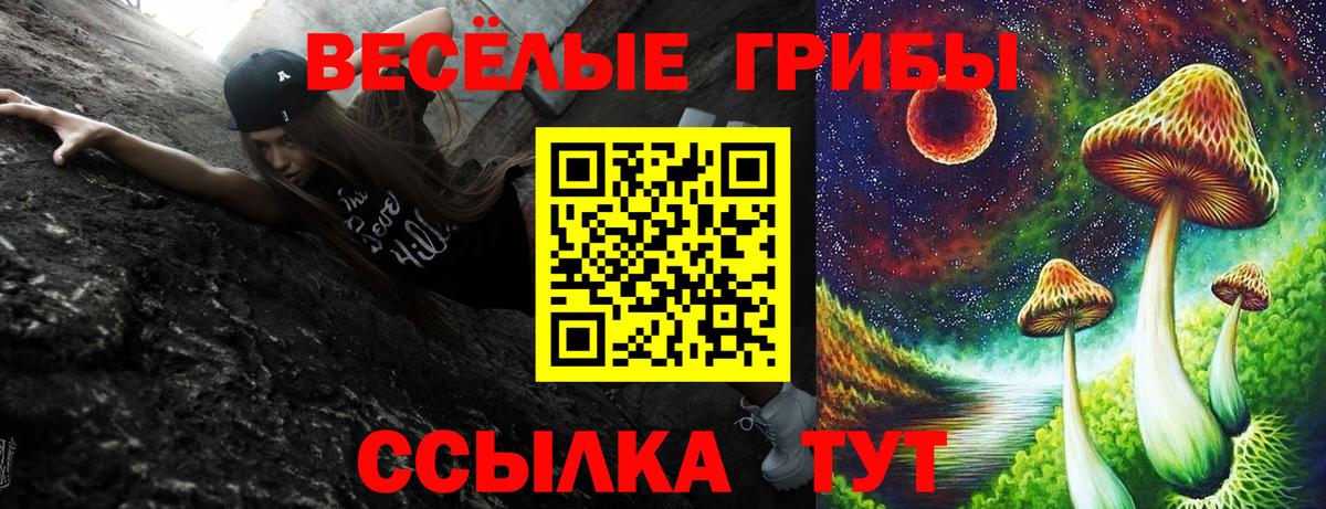Галлюциногенные грибы ЛСД Мценск