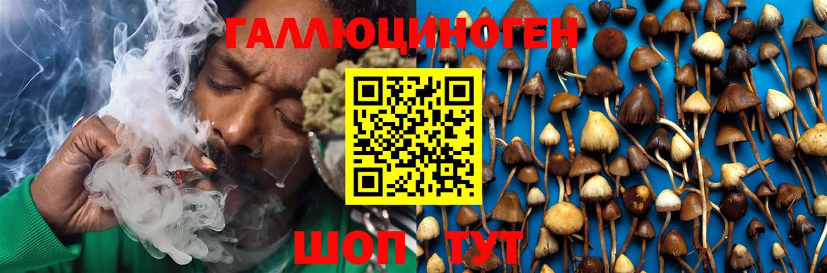 Галлюциногенные грибы Psilocybe  Вход с VPN  Мценск 
